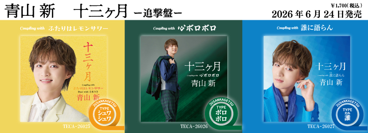 青山新「十三ヶ月（追撃盤）」