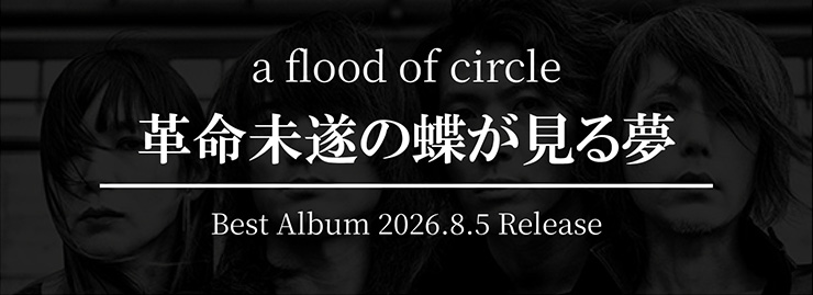 afoc「革命未遂の蝶が見る夢」
